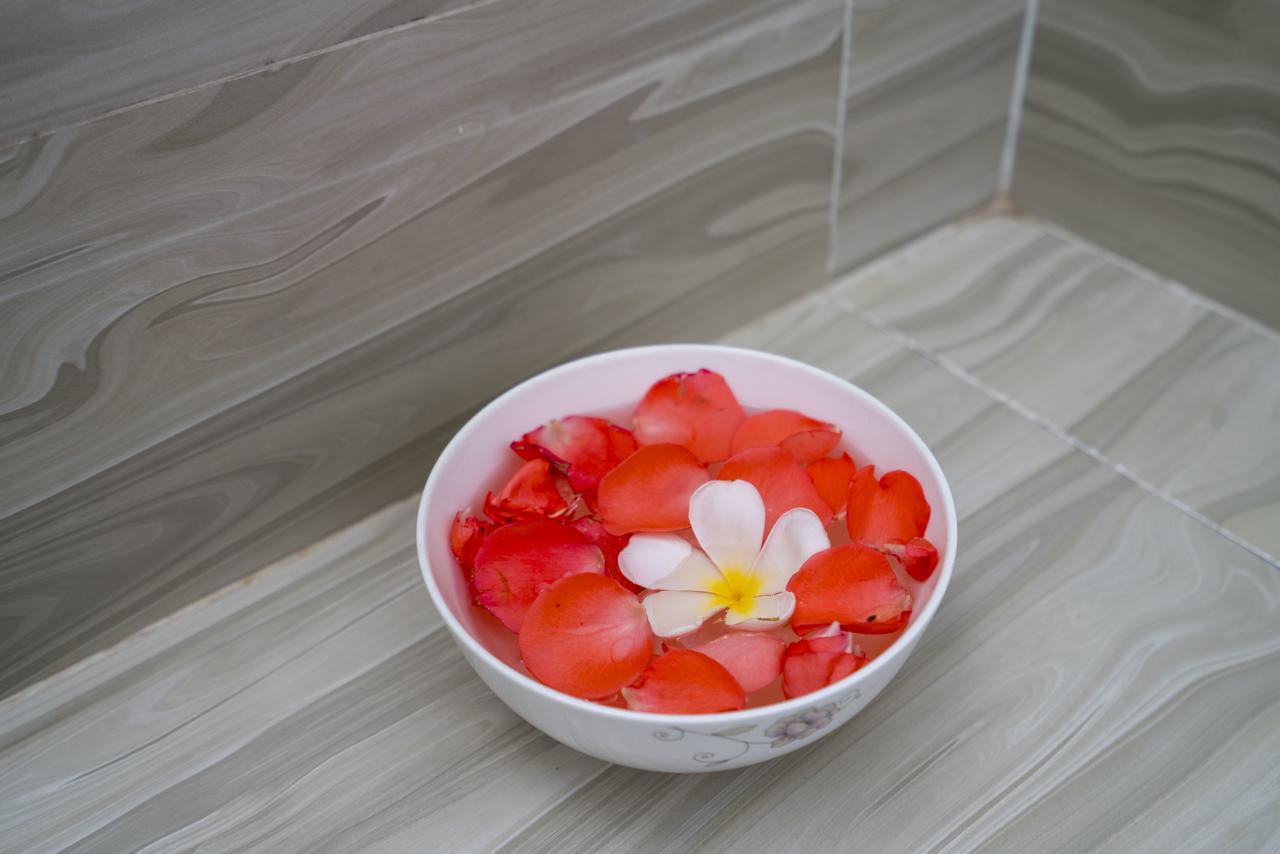 My House Hoi An Homestay מראה חיצוני תמונה